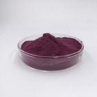 CAS 56211-40-6 Pure Plant Extract Anthocyanin 5% Natural Colorant Roselle Extract