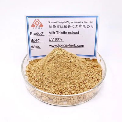 Food Grade P.E Milk Thistle Seed Extract Silymarin Powder 80%