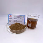 CAS 520-36-5 Pure Plant Extract 98% Apigenin Chamomile Extract Powder