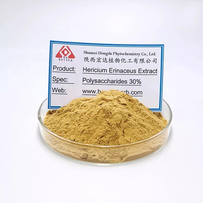 Extrait de crinière de lion Hericium Erinaceus Capsules pour les personnes souffrant d' une mauvaise digestion