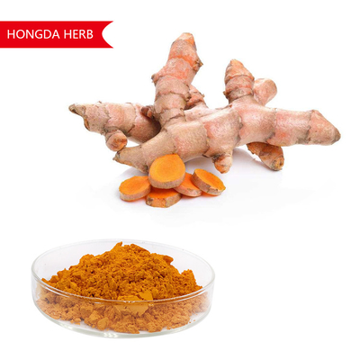Extrait végétal pur de curcuma longa en poudre 95% HPLC Antioxydant et anti-inflammatoire
