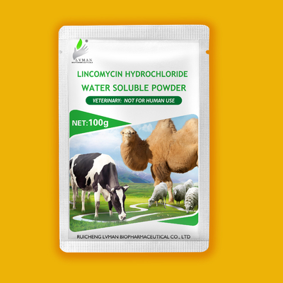 LINCOMYCINE HYDROCHLORIDE Poudre soluble dans l' eau Drogue vétérinaire