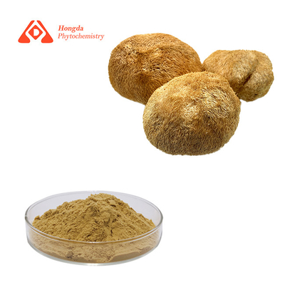 30% Spécification Capsules naturelles de Hericium Erinaceus pour les soins de santé